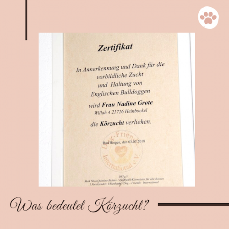 Was bedeutet Körzucht