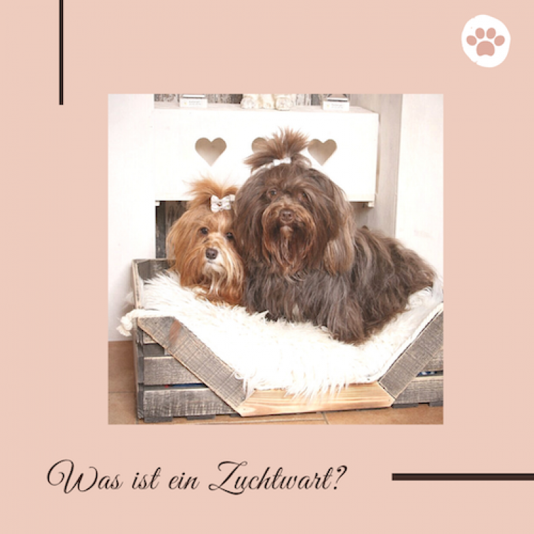 Zuchtziel: Gesundheit!