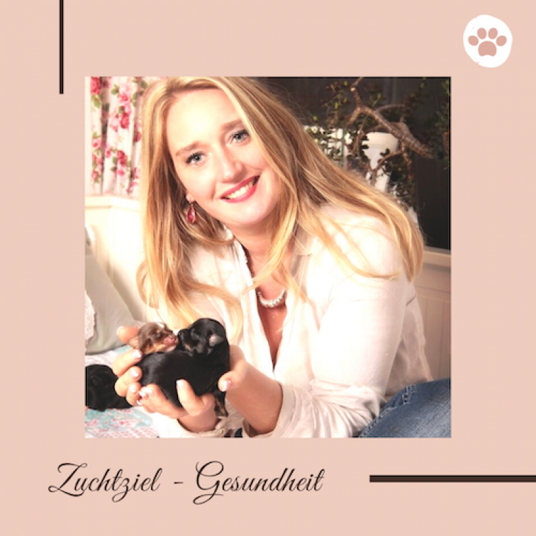 Zuchtziel: Gesundheit!